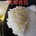 黑龙江五常产长粒白米，有糯性，米丑饭香，剩饭不回生