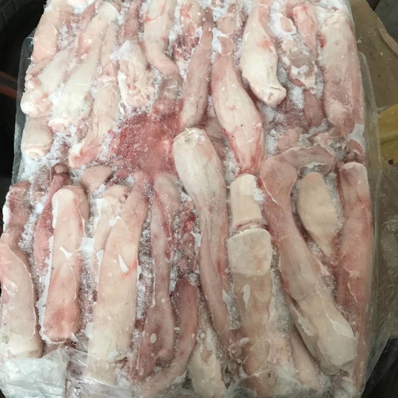 直销母猪儿肠母猪子宫大量有货价格美丽发货及时