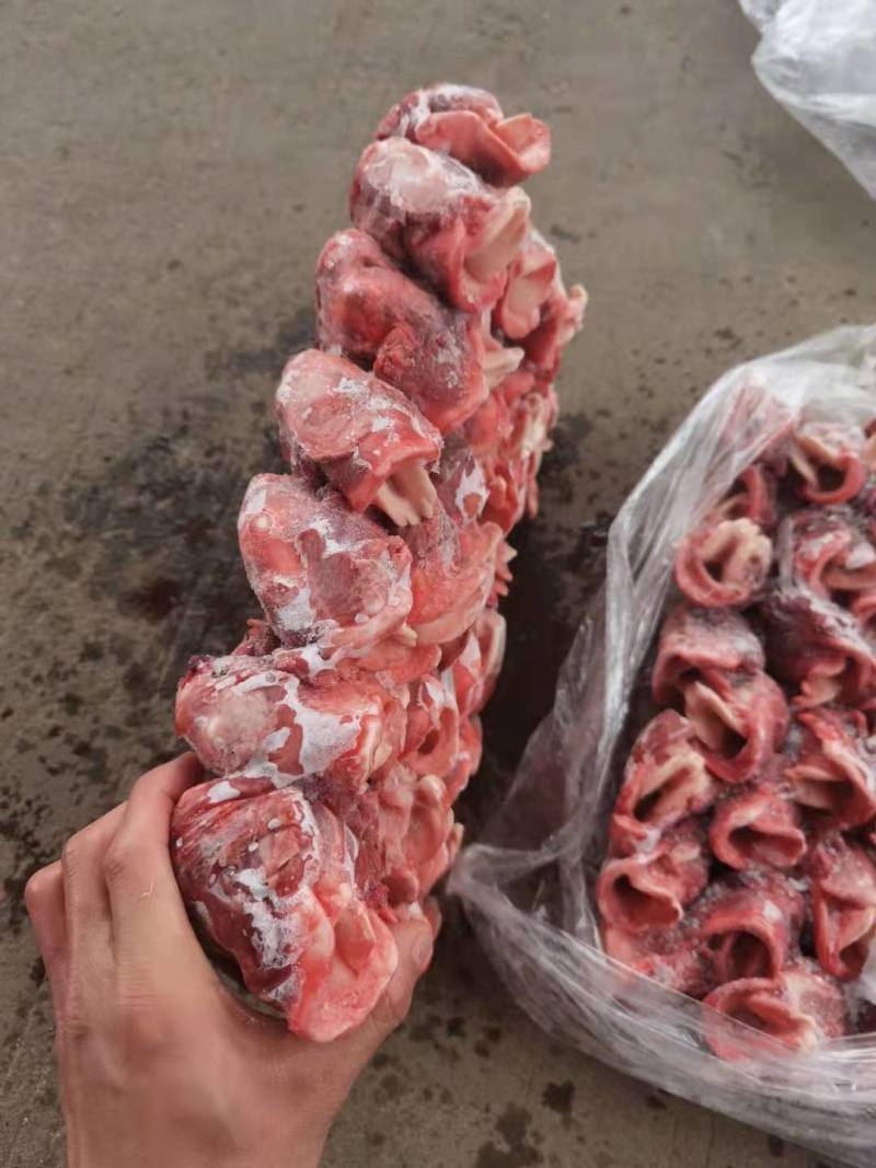 直销青猪喉头无水无油质量保证有四吨多货
