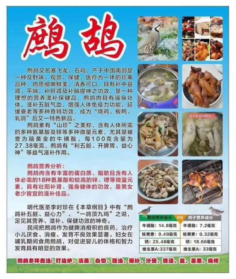 鹧鸪