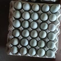 绿壳鸡蛋，乌鸡蛋，土鸡蛋场地直销零售批发