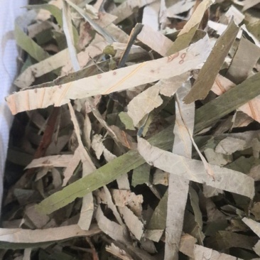 荷叶药用荷叶干货不满意可退换货农副产品
