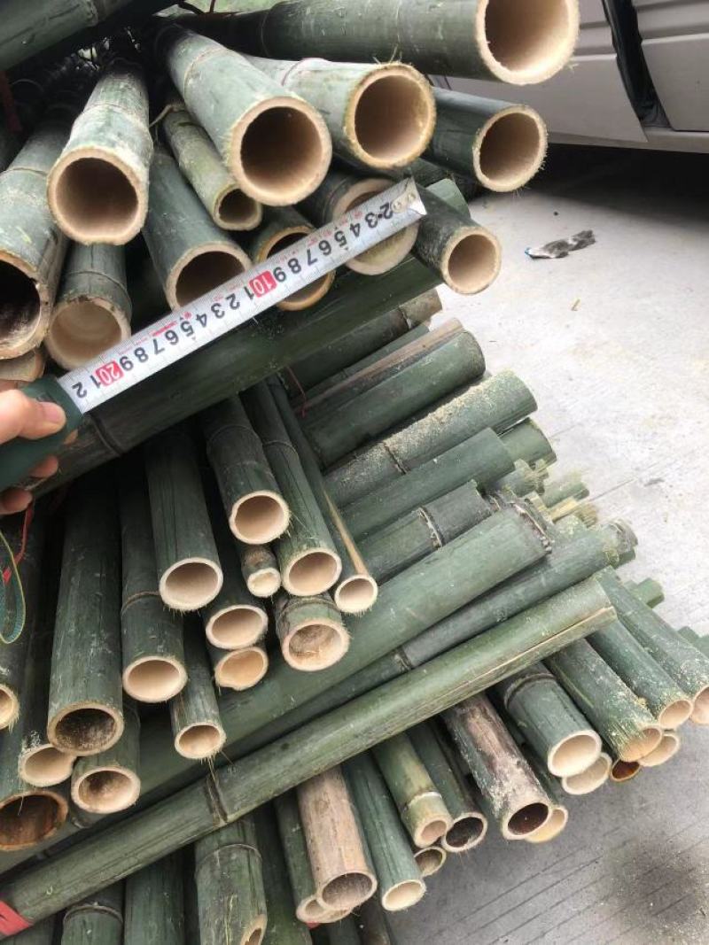 斑竹百家竹竹竿果树支撑杆各个规格