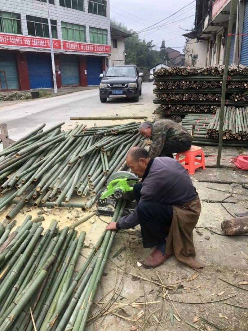 斑竹百家竹竹竿果树支撑杆各个规格