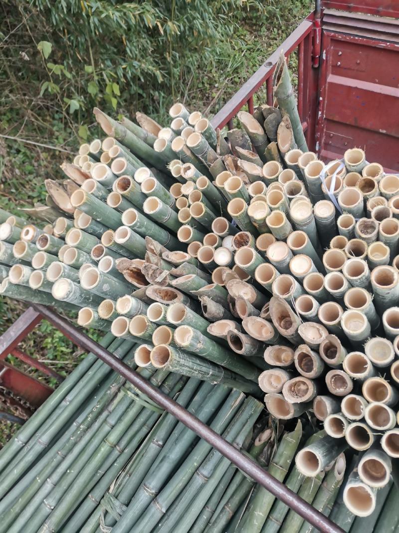 斑竹百家竹竹竿果树支撑杆各个规格