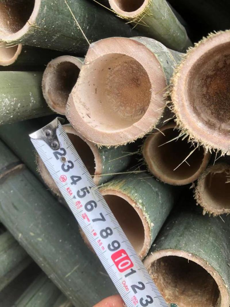 斑竹百家竹竹竿果树支撑杆各个规格