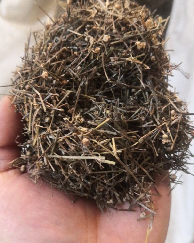 白花蛇舌草农副产品不满意可退换货保证正品