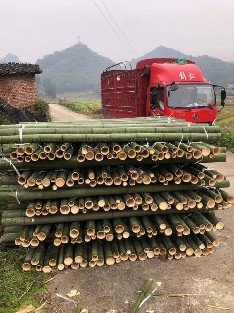 斑竹百家竹竹竿果树支撑杆各个规格