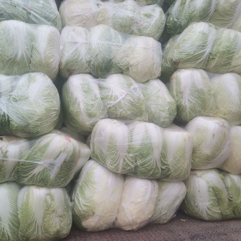 白菜大量上市中，黄芯菜，团头菜等品种都有，欢迎新老朋友前