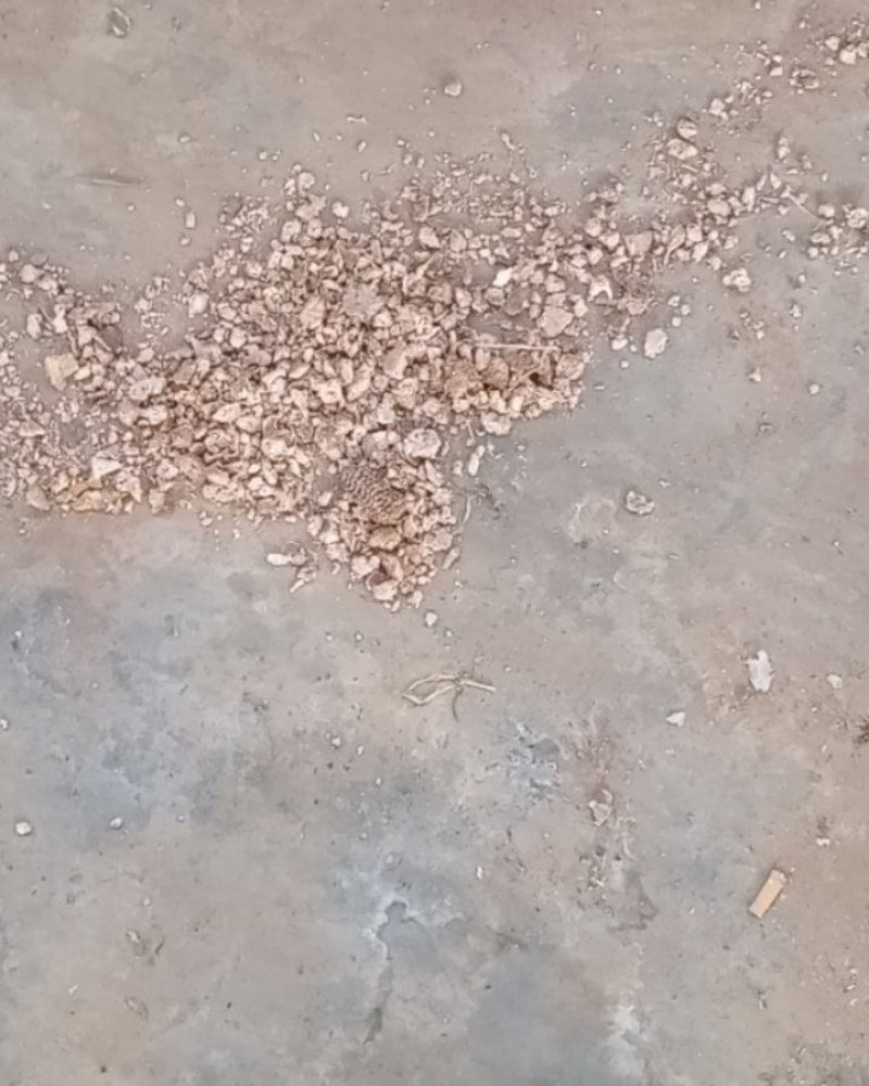 红薯渣