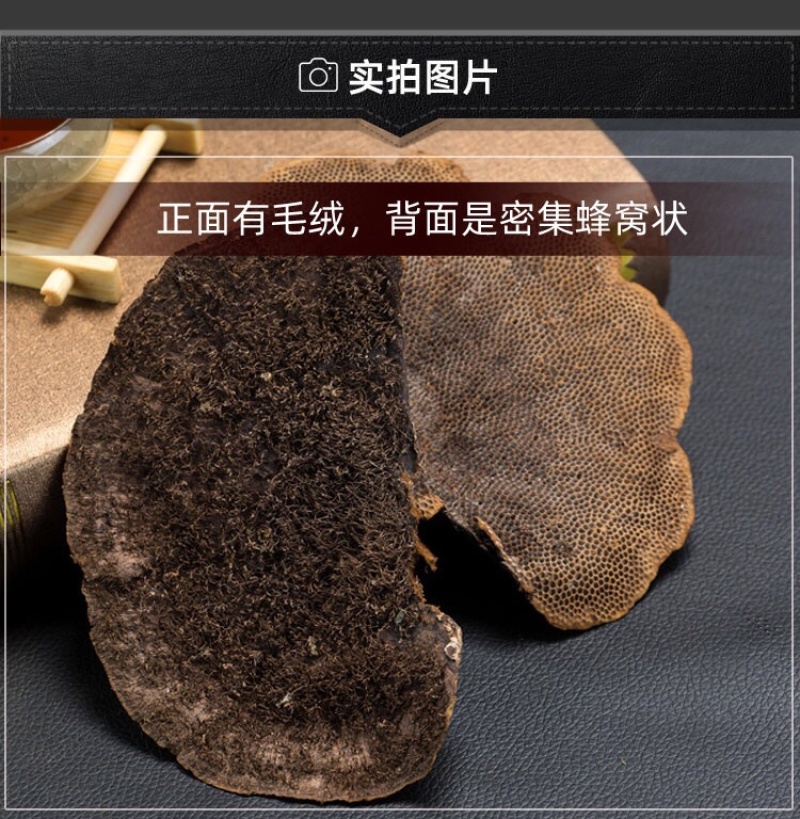 广西十万大山纯野生蜂窝灵芝500g毛蜂窝菌蜂窝层孔菌包邮