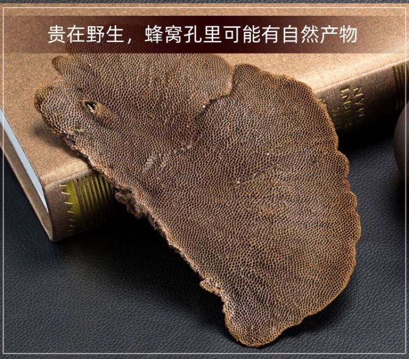 广西十万大山纯野生蜂窝灵芝500g毛蜂窝菌蜂窝层孔菌包邮