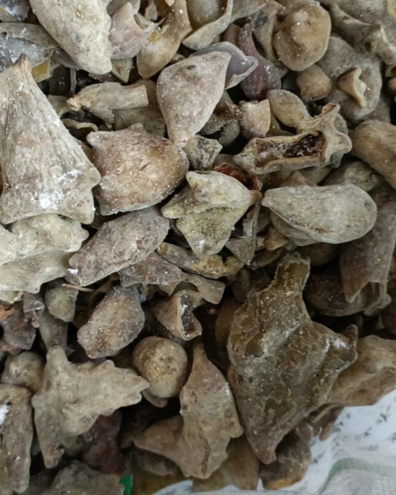 五倍子野生，干统货22元一市斤，10斤起包邮。