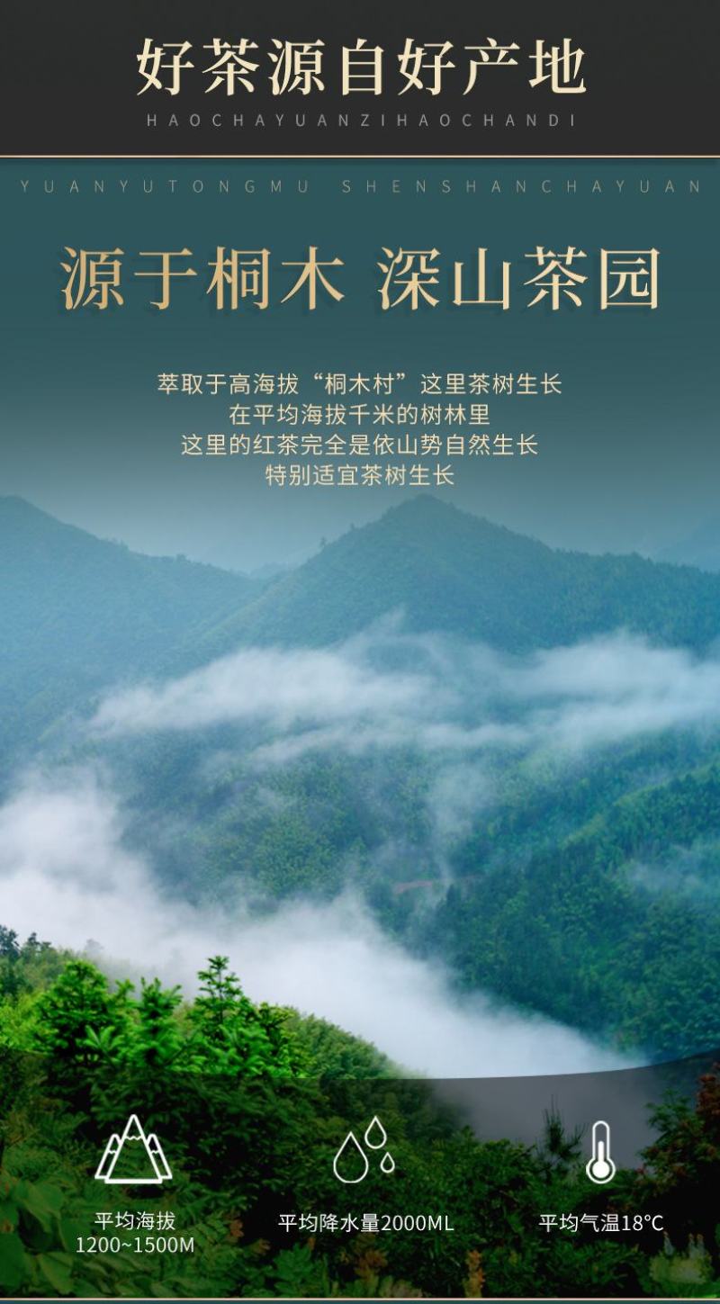 武夷山正山小种红茶300g礼盒装包邮批发支持定制