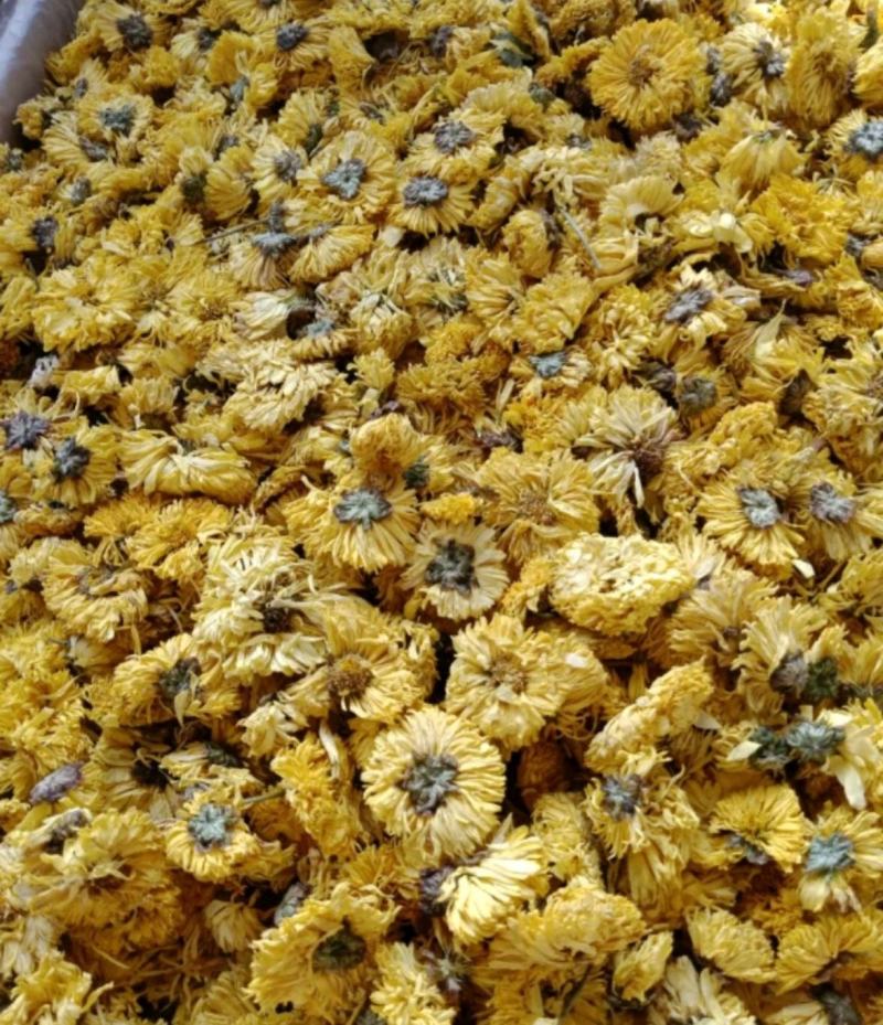 黄菊花统装500g产地安徽振兴药材购销站量大从优