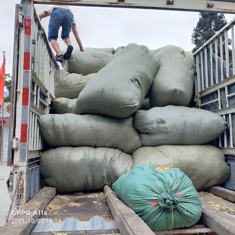 优质水苔青苔藓加工合作社自产自销18675117891