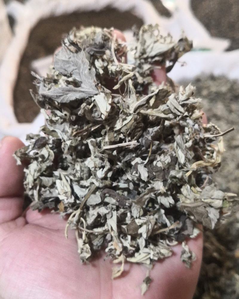 艾叶干货农副产品不满意可退换货只做正品