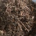 老鹳草干货农副产品不满意可退换货只做正品