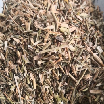 瞿麦保证正品不满意可退换货农副产品