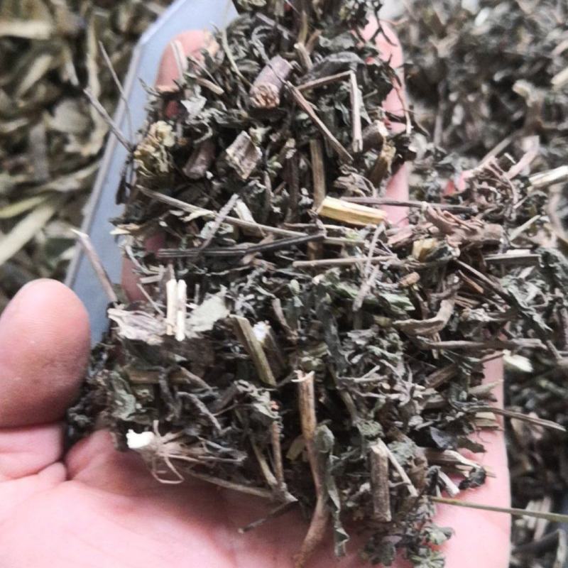 旱莲草墨旱莲保证正品不满意可退换货