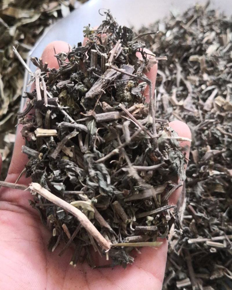 旱莲草墨旱莲保证正品不满意可退换货