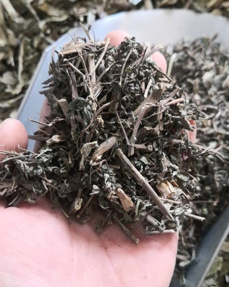 旱莲草墨旱莲保证正品不满意可退换货
