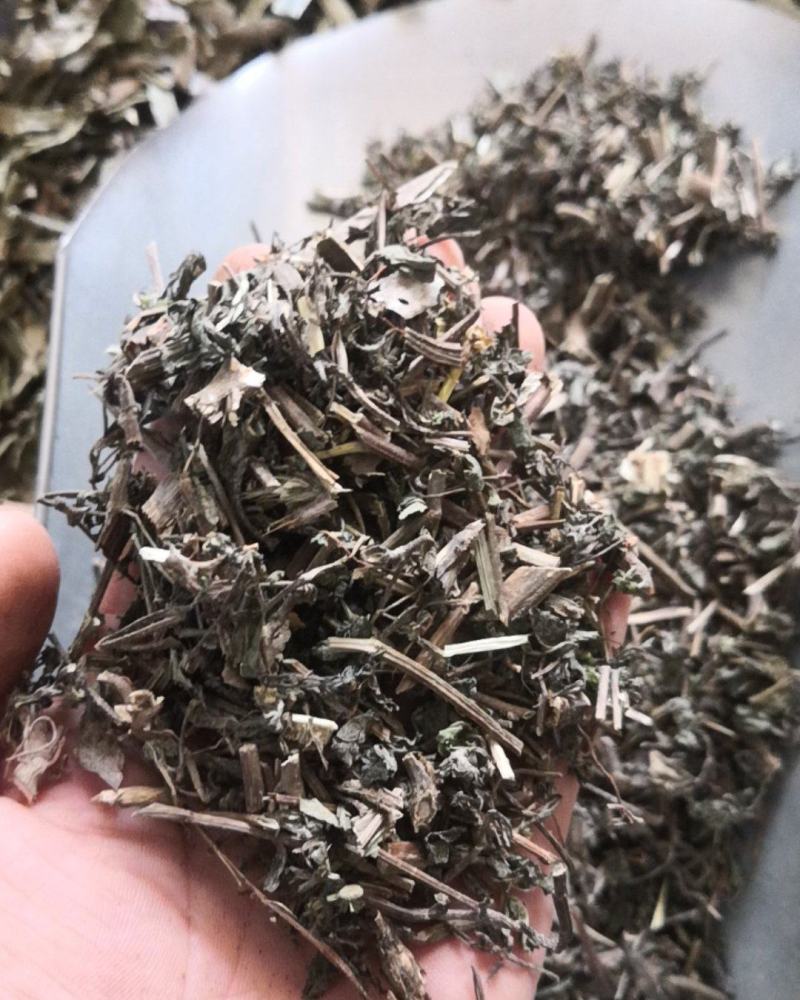旱莲草墨旱莲保证正品不满意可退换货