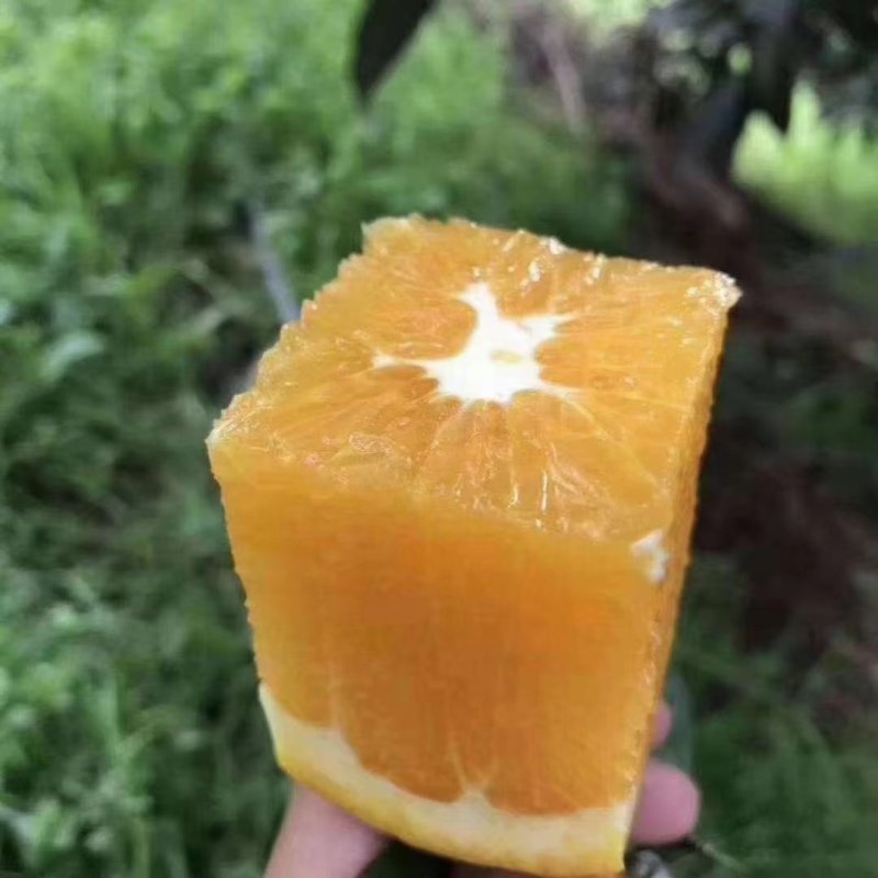 正宗江西新鲜赣南脐橙皮薄汁多水果现摘批发整箱当季甜脐橙