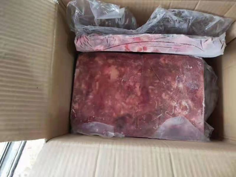 熬汤板脑，实拍图片，质量好，一手货源，全国冷链发货