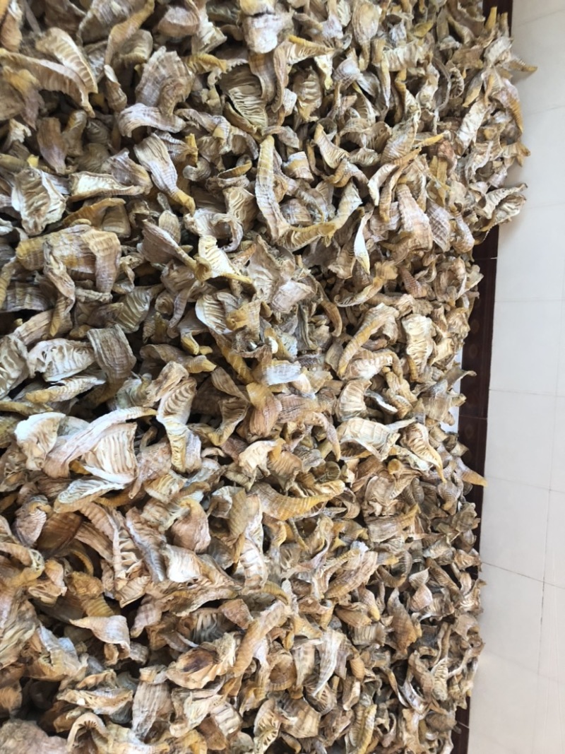 四川蜀南竹海农家自制无添加竹笋玉兰片精品