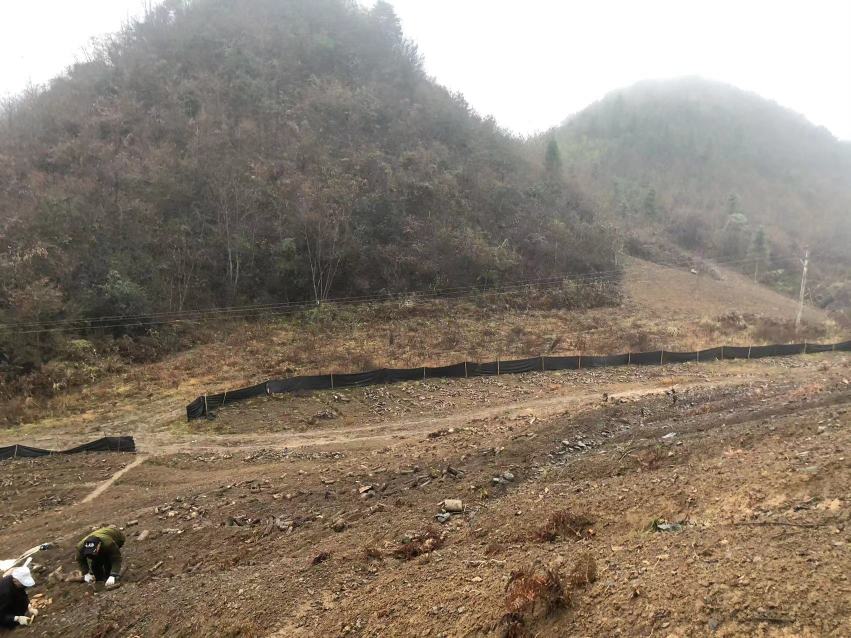 中国蓖麻主产区地图示意