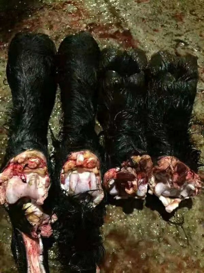 大草原牦牛肉系列都有哈