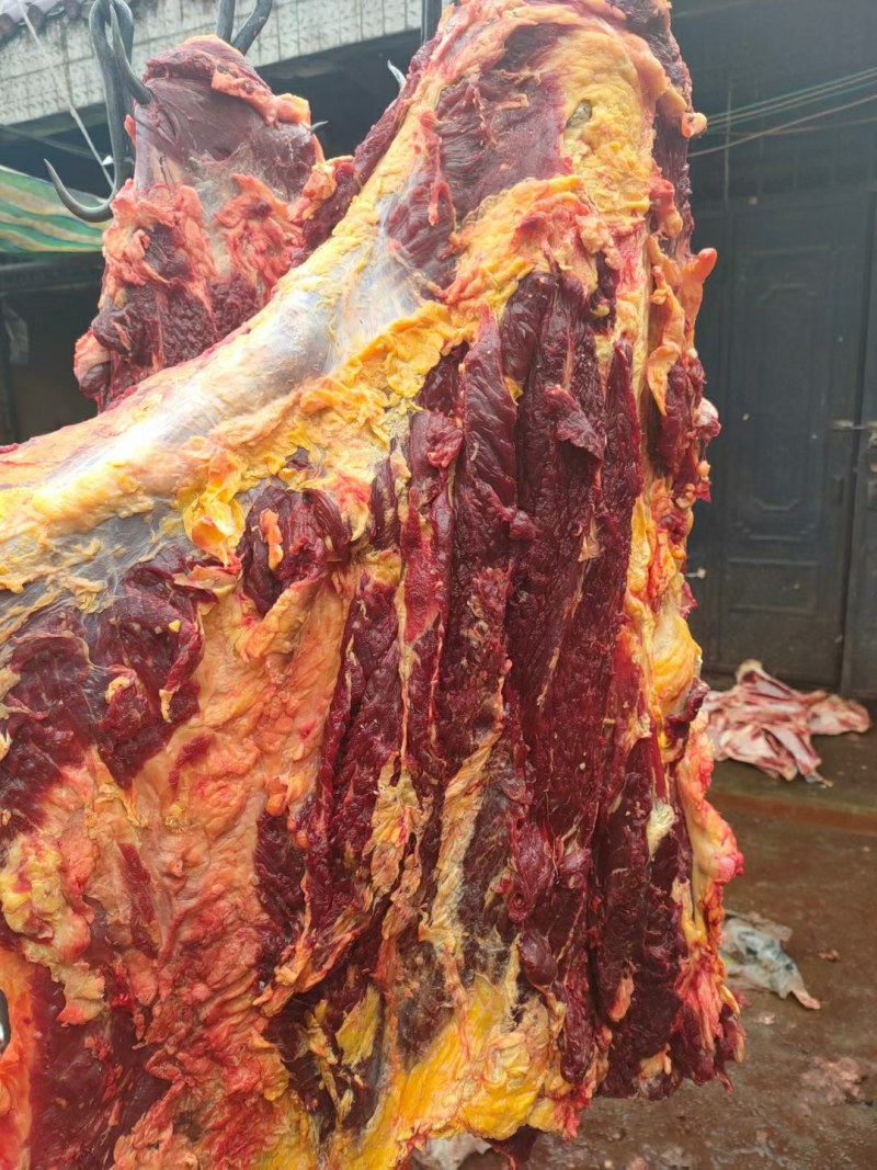 大草原牦牛肉系列都有哈