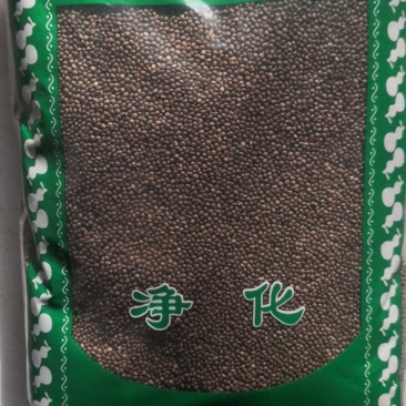 紫苏子苏子保证正品不满意可退换货