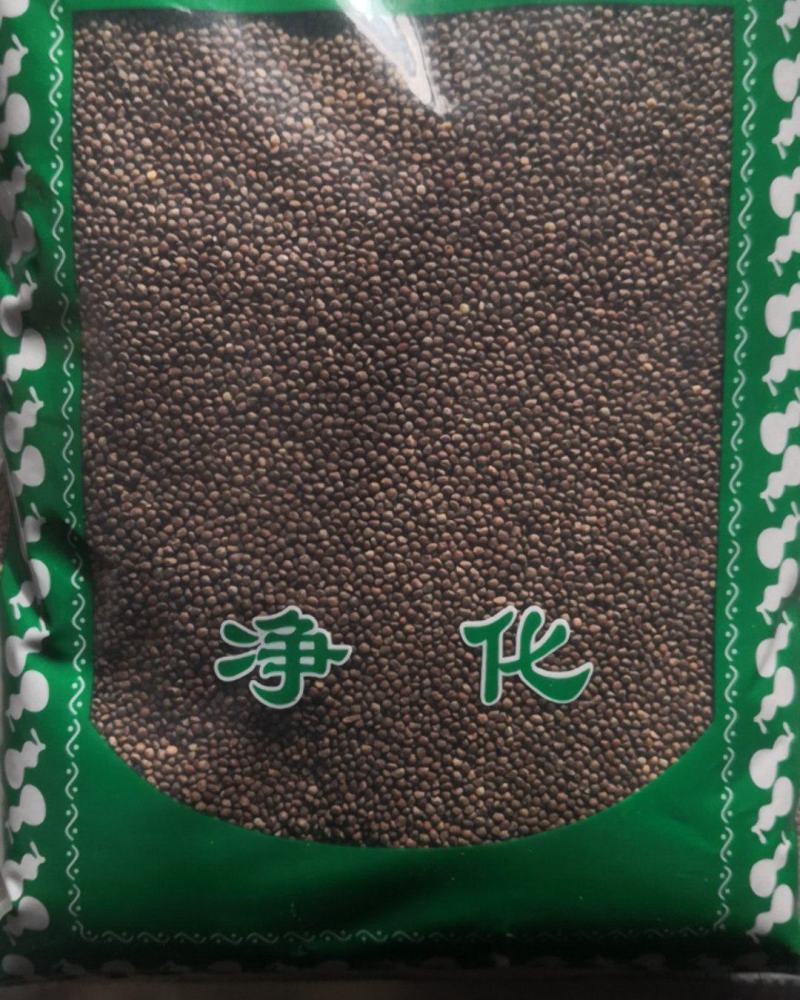 紫苏子苏子保证正品不满意可退换货
