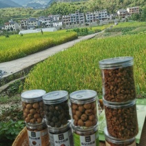 临安小核桃
