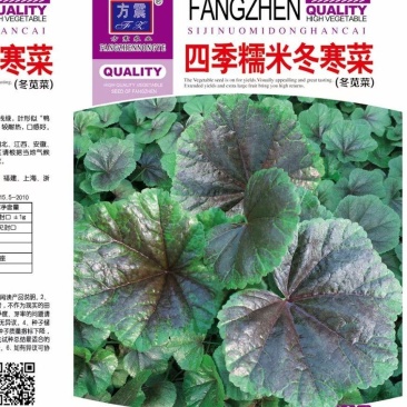 糯米冬寒菜种子，茎叶背面披有白色茸毛，色浅绿，叶形似“鸭
