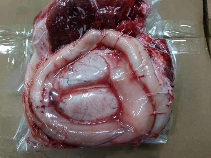 牛鞭宝，精修无油。。。。。。。。。。。。。。。。。。。。