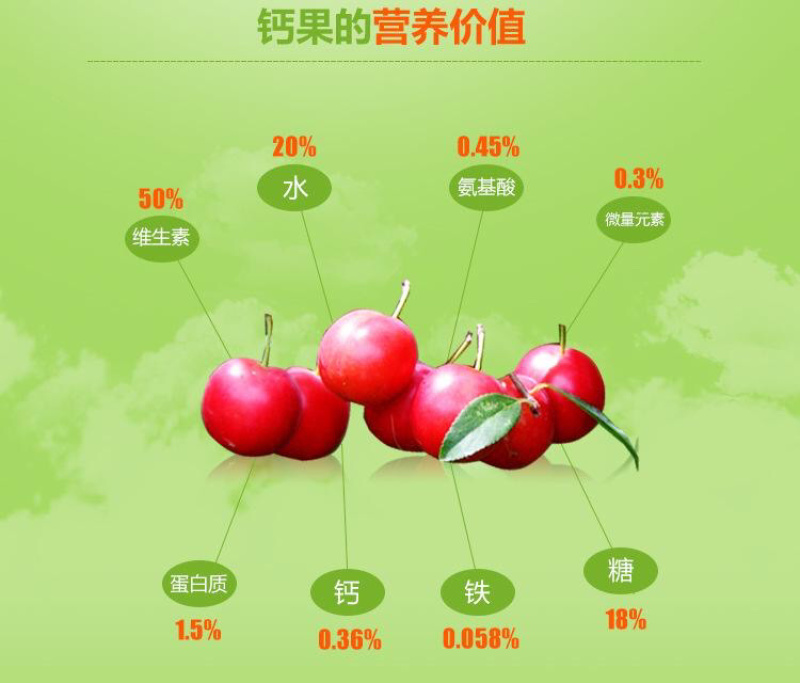 钙果苗欧李苗中华钙果基地直发，包成活，死苗补发