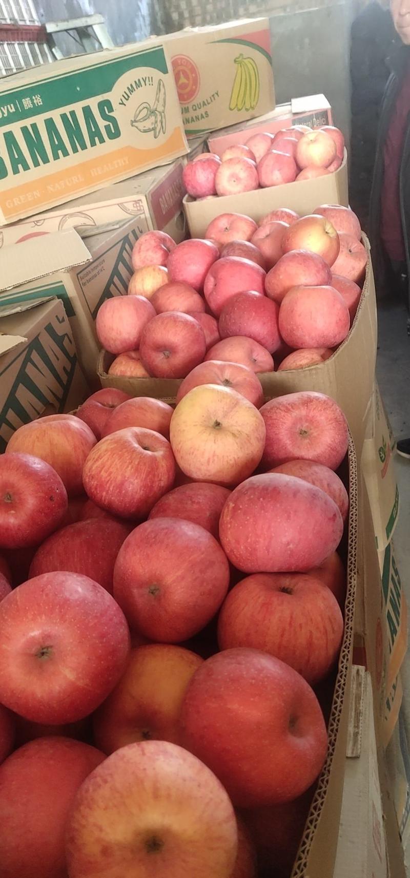 红富士苹果通货二级大量有货，现货果面好，毛病