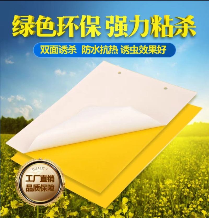 粘虫板20x25覆纸型粘虫板可重复使用型粘虫板