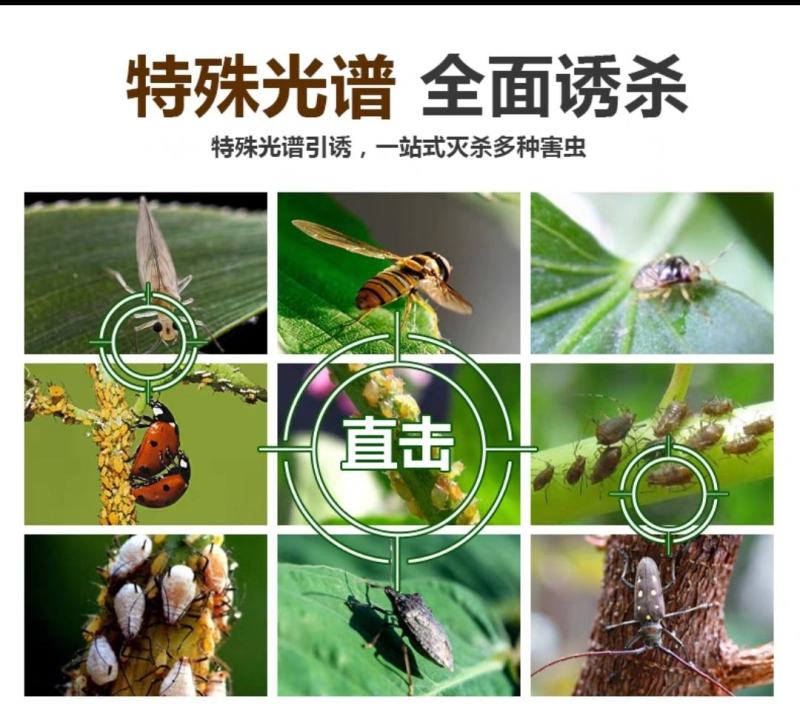 粘虫板20x25覆纸型粘虫板可重复使用型粘虫板