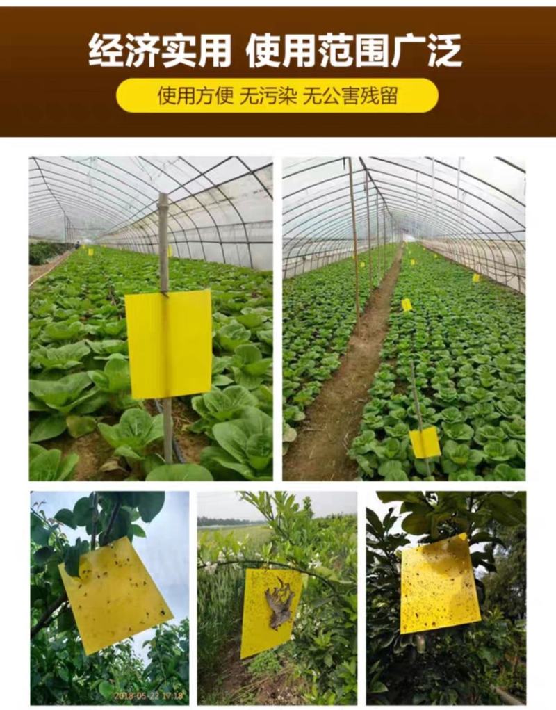 粘虫板20x25覆纸型粘虫板可重复使用型粘虫板