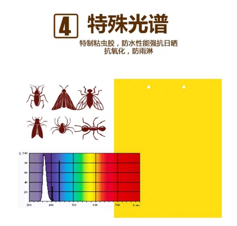 粘虫板20x25覆纸型粘虫板可重复使用型粘虫板