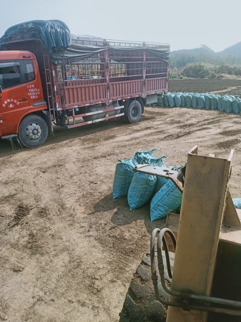 发酵牛粪有机肥
