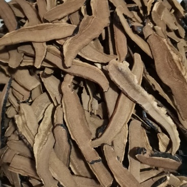 优质山东家种灵芝切片规格齐全量大从优