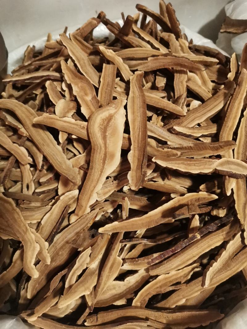 优质山东家种灵芝切片规格齐全量大从优
