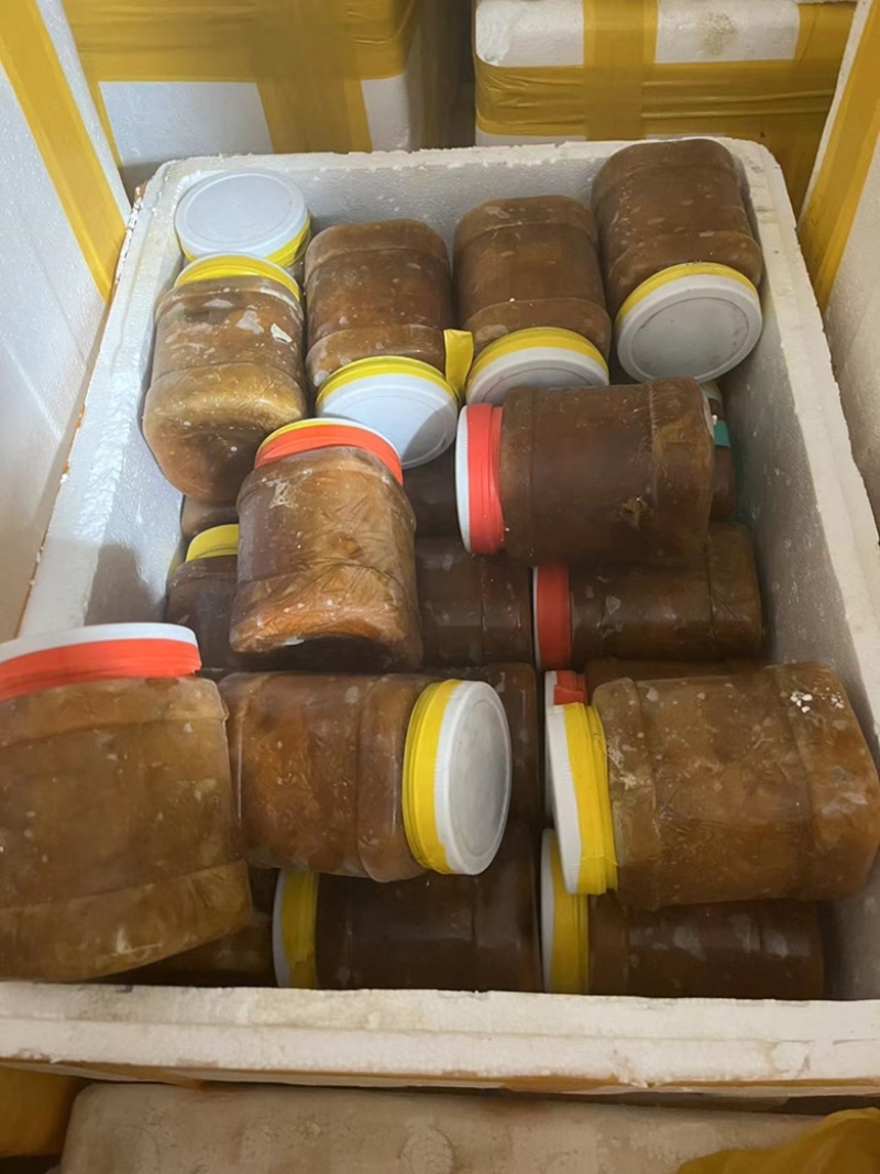 原产地新鲜海胆肉，紫海胆，黄海胆，马粪胆