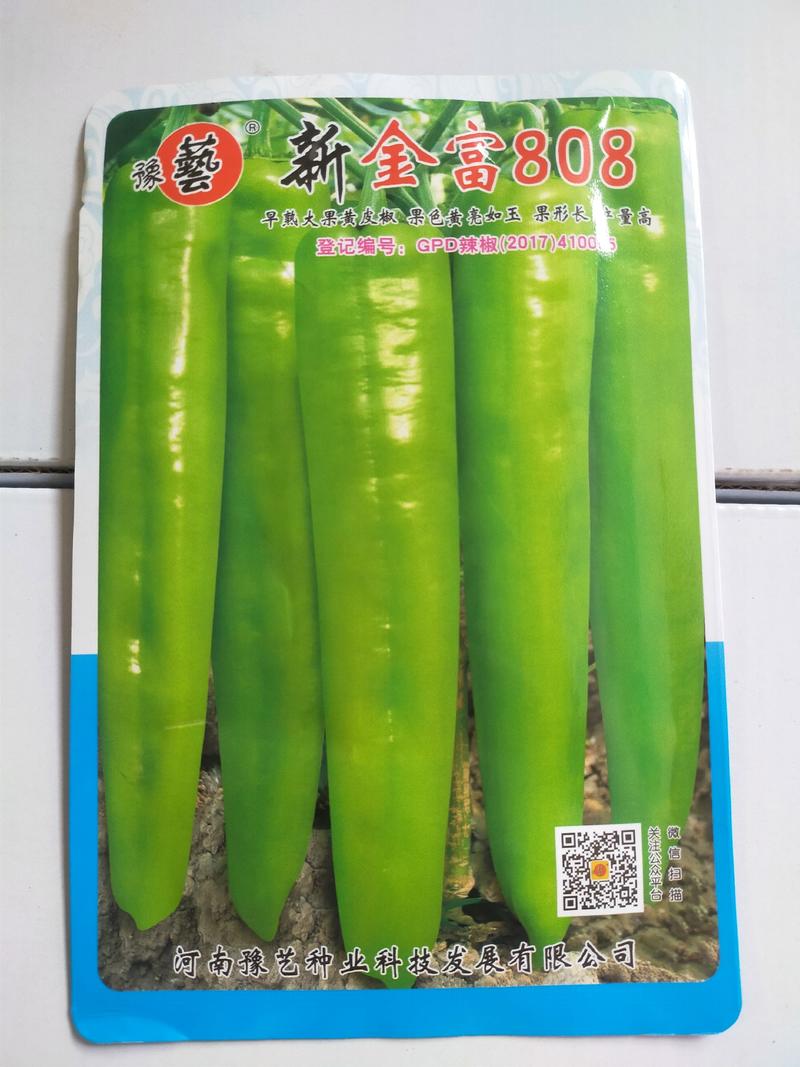 豫艺新金富808辣椒种子黄皮椒果形长产量高1000粒