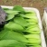 优质油菜上海青，货源充足。拥有大型冷库，支持全国发货